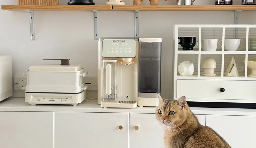 Adapting to Diverse Global Living Scenarios, Bewinch G3 Pro Becomes a Hit Home Water Dispenser