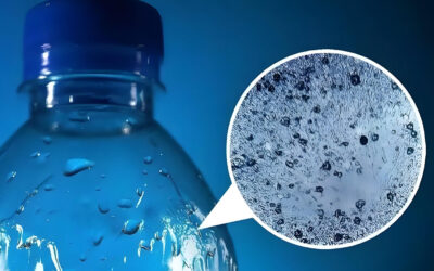 Bewinch and Environmental Protection: A Sustainable Drinking Water Solution